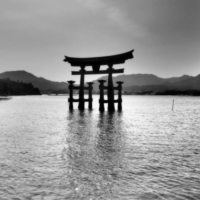 From Startup to Scale-Up: Building a Winning Social Media Schedule